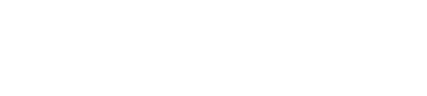 synchro white logo